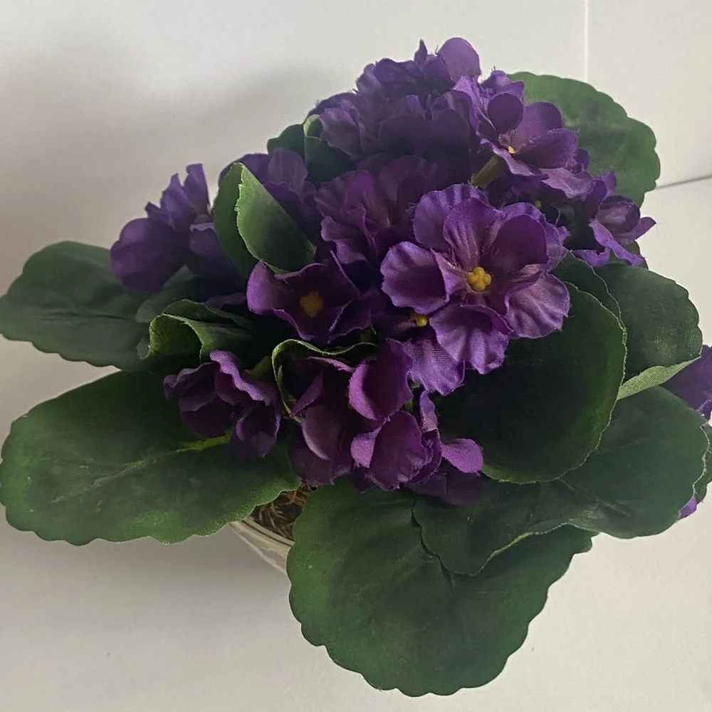 Unknown vibrant vintage